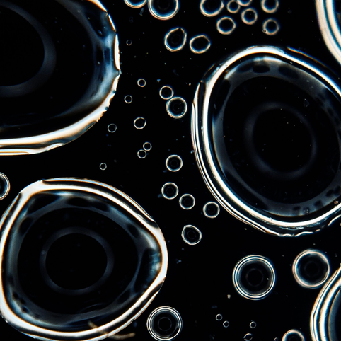 Wenn die Zellstruktur erkrankt: Mitochondriopathie
