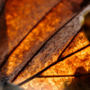 Der Oktober, der den Alltag neu sortiert