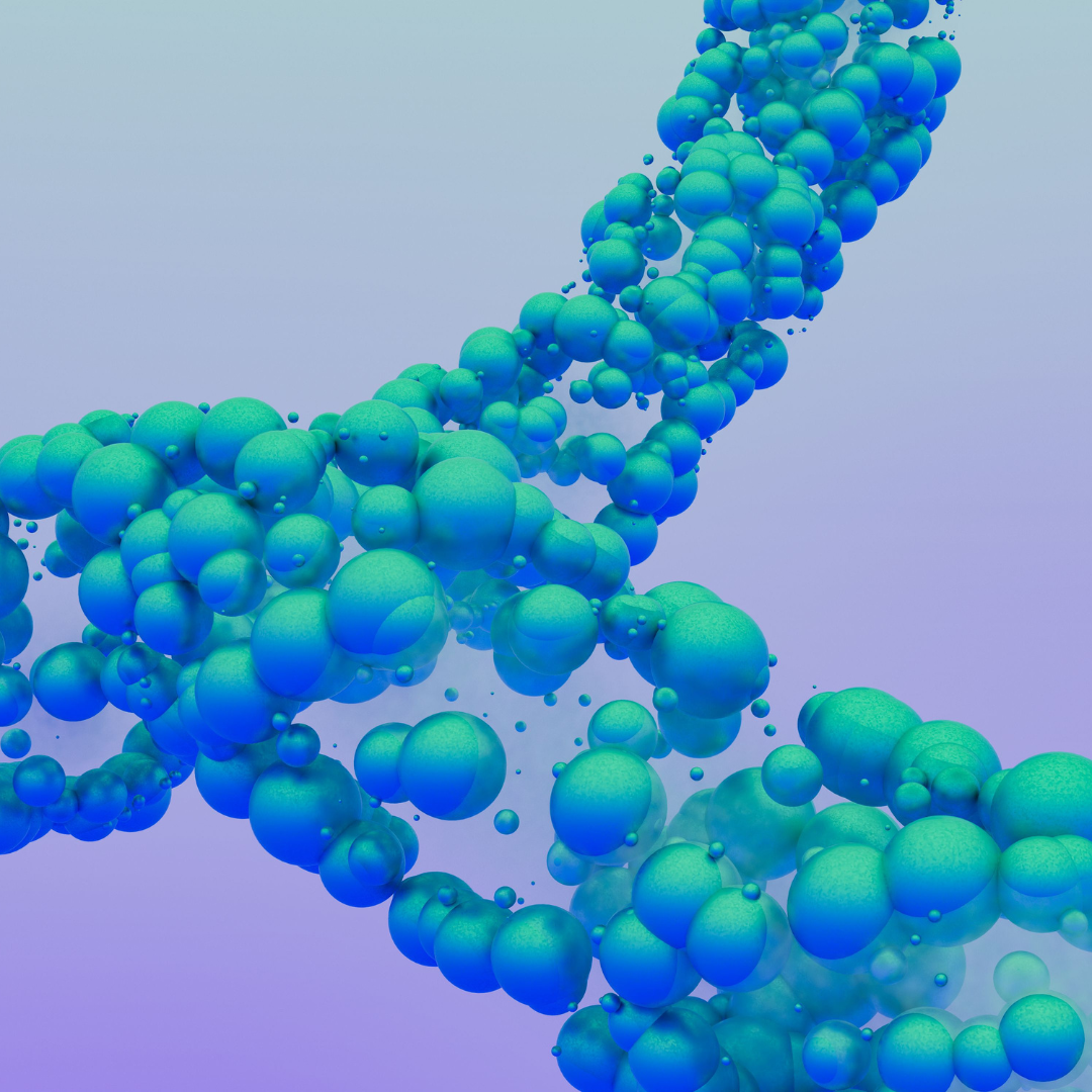 MTHFR‑Genotyp