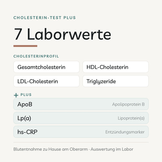 Cholesterin-Test Plus: 7 Laborwerte – Cholesterinprofil plus ApoB, Lp(a) und hs-CRP