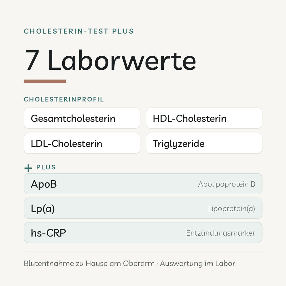 Cholesterin-Test Plus: 7 Laborwerte – Cholesterinprofil plus ApoB, Lp(a) und hs-CRP