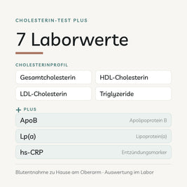 Cholesterin-Test Plus: 7 Laborwerte – Cholesterinprofil plus ApoB, Lp(a) und hs-CRP