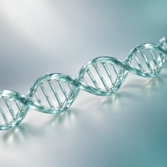 Lipoprotein(a) – Lp(a)