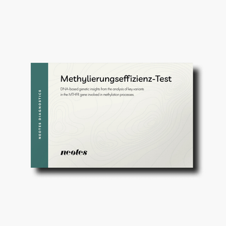 Methylation Efficiency Test