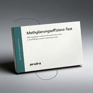 Methylation Efficiency Test