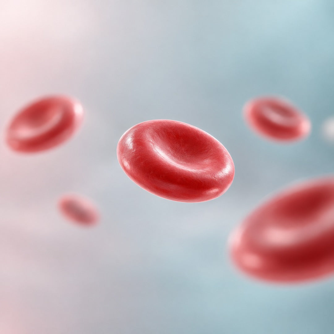 Ferritin – Hinweis auf Ihre Eisenspeicher
