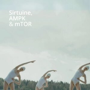 3-Hauptakteure-Longevity-Blogartikel