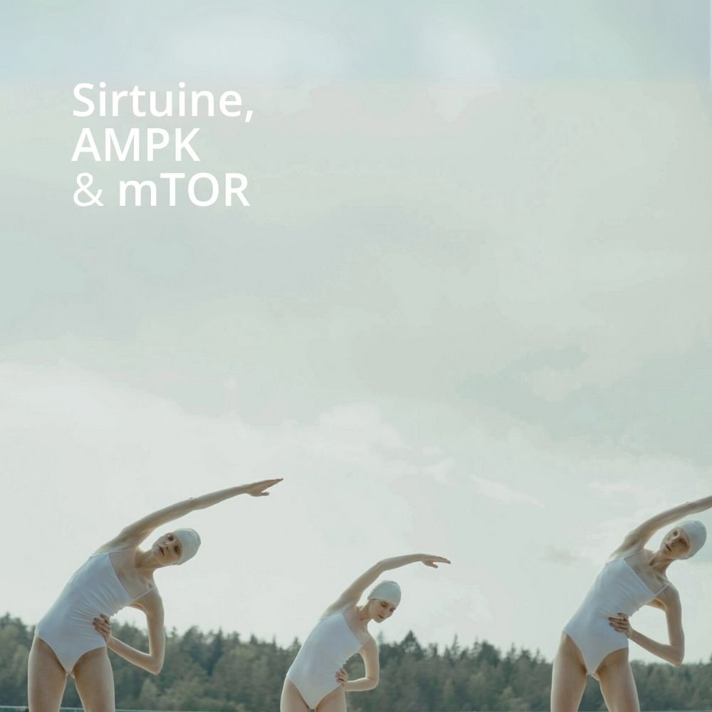 3-Hauptakteure-Longevity-Blogartikel