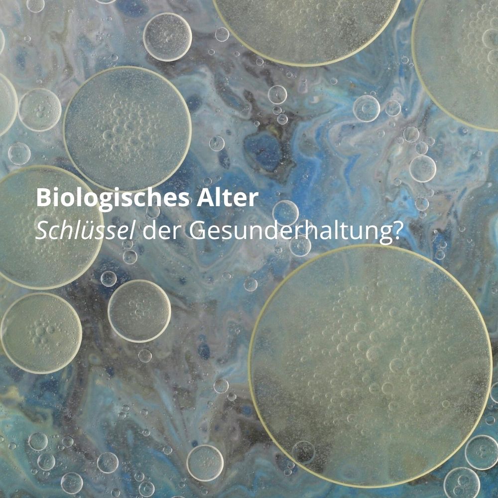 Biologisches-Alter-Gesunderhaltung-Longevity-Blogbeitrag