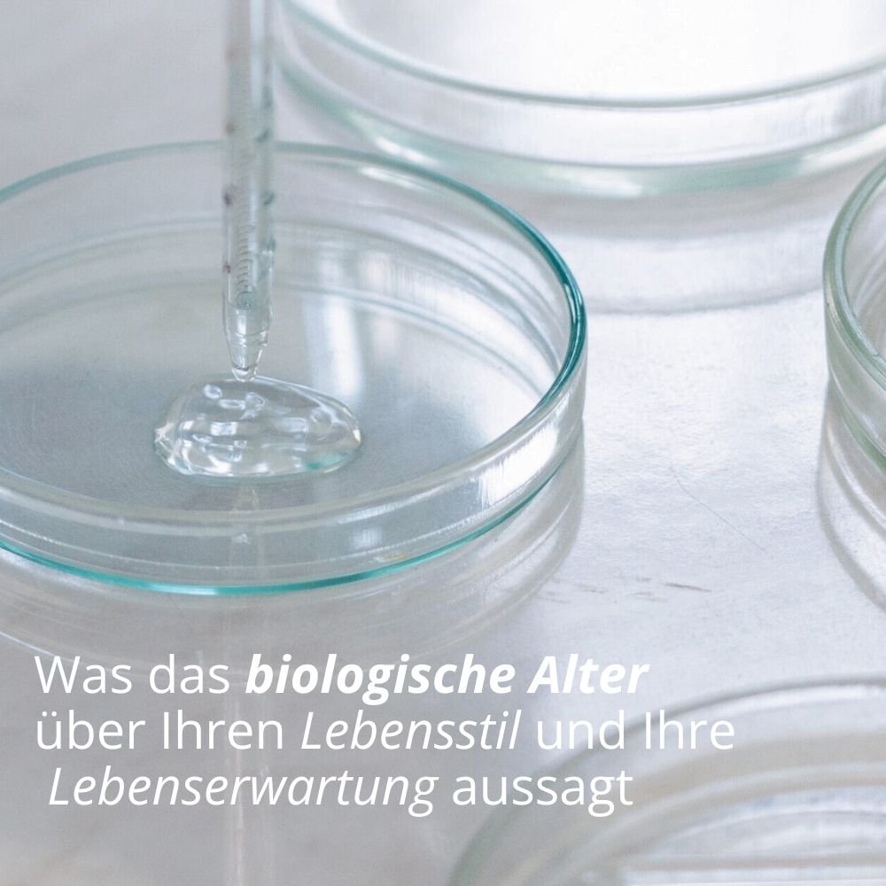 Biologisches-Alter-Lebenserwartung