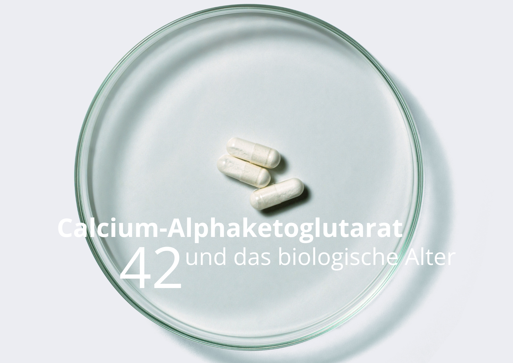 Calcium-Alphaketoglutarat-biologisches-Alter