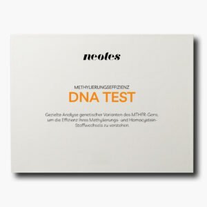 DNA-Methylierungseffizienz-Test-Produktbild