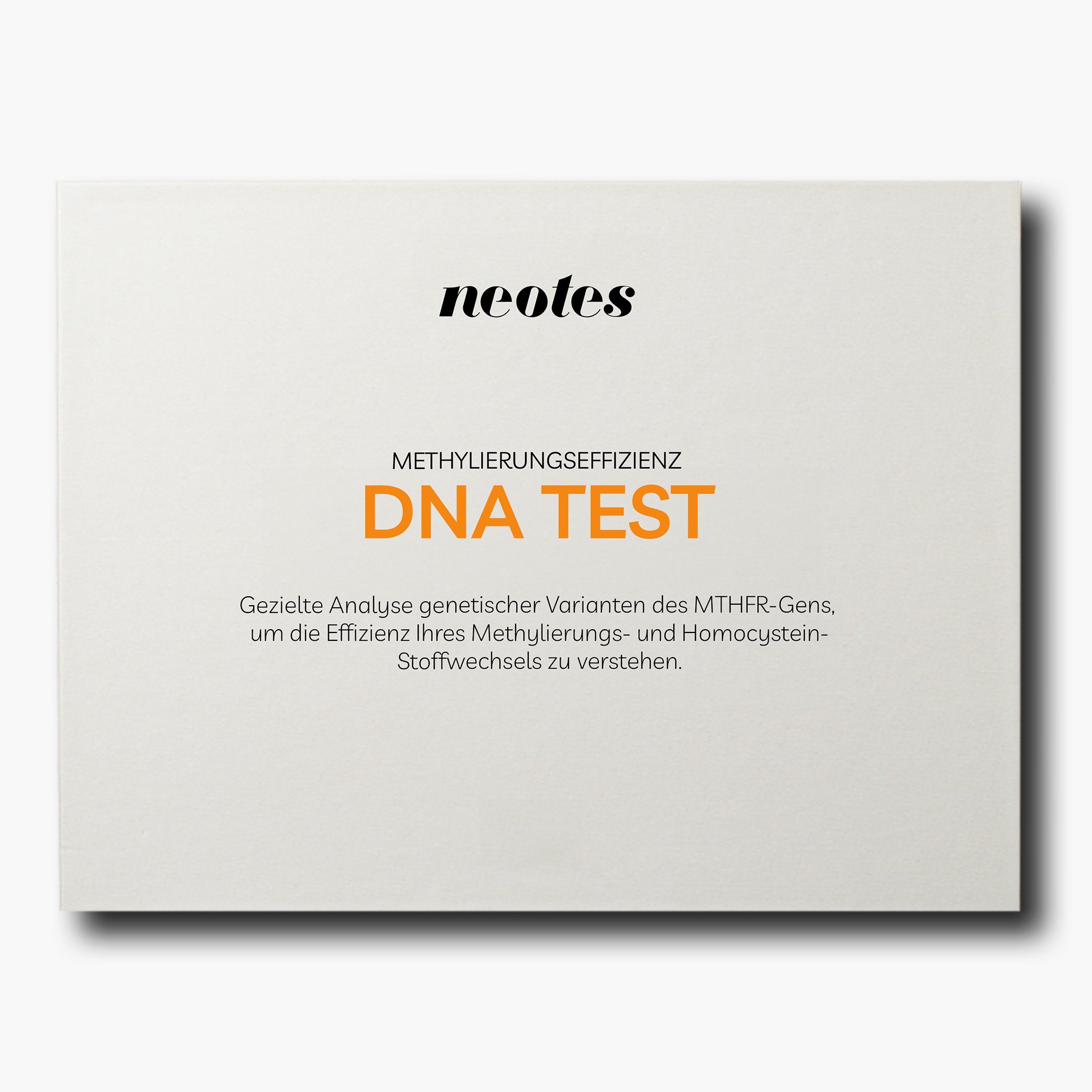 DNA-Methylierungseffizienz-Test-Produktbild