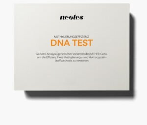 DNA-Methylierungseffizienz-Test