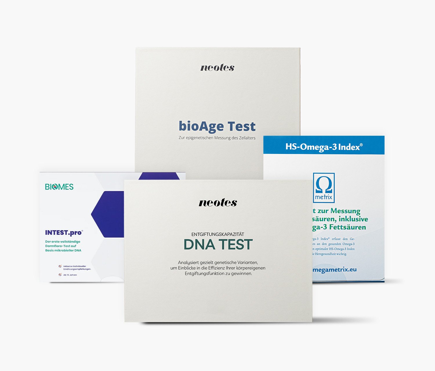 DiscoverBundle-Produktbild