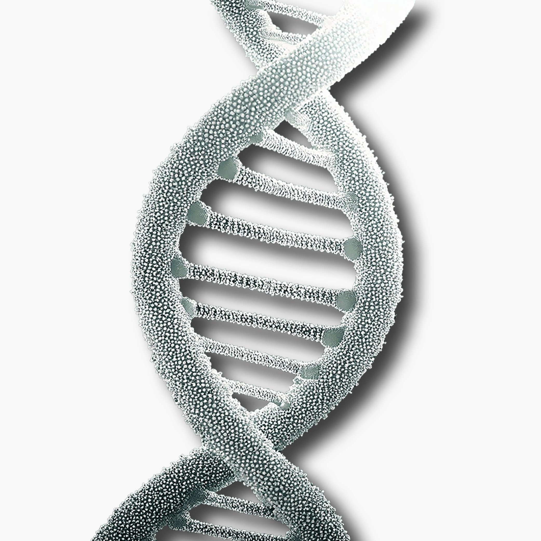 Kostenlose-Beratung-Produktbild