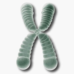 Longevity-Beratung-Produktbild