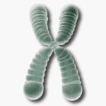 Longevity consulting