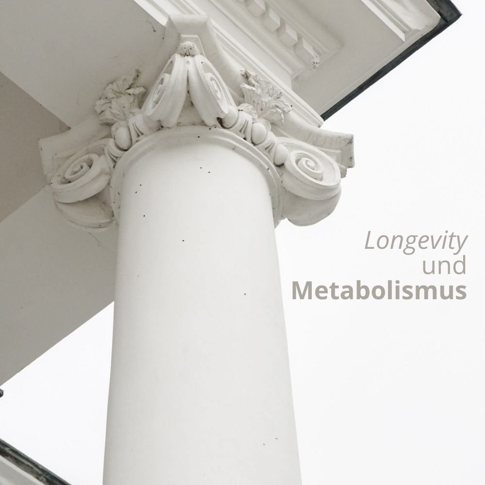 Longevity und Metabolismus
