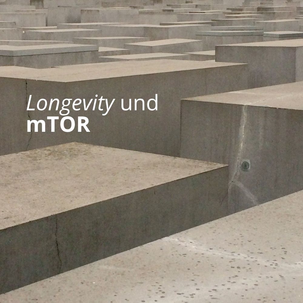 Longevity und mTOR