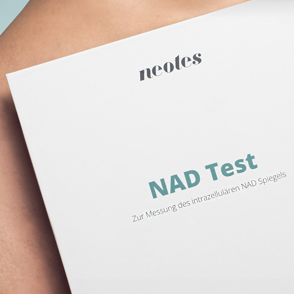 NAD-Test-Haut