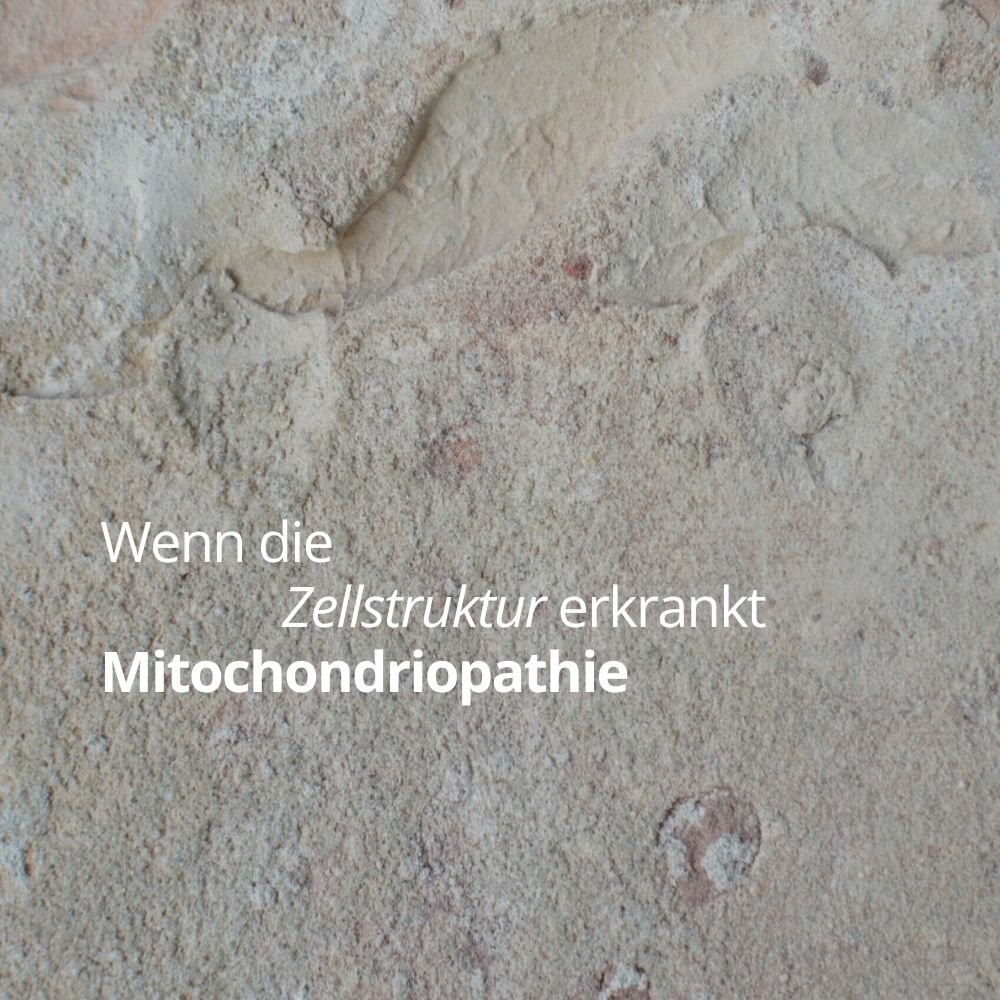 Wenn die Zellstruktur erkrankt Mitochondriopathie