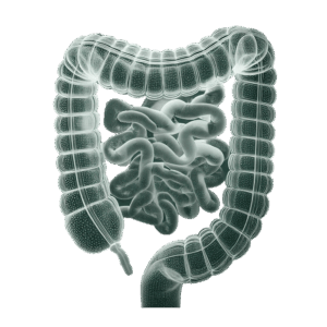 neotes-nutritional advice-intestinal product image