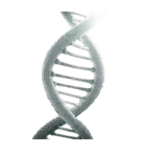 neotes-free-consultation-to-enter-the-longevity-journey-dna-helix-product-picture