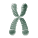 neotes-Longevity-Consulting-Telomer-Product-Picture